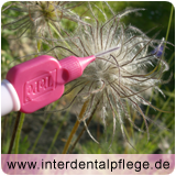 TePe Pink